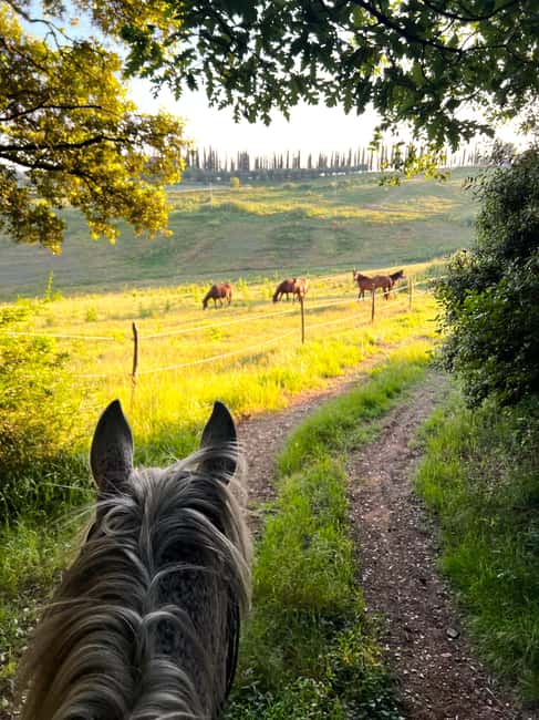 Siena: Horseback Riding with Siena in the background - Final Thoughts on the Siena Horseback Riding Tour