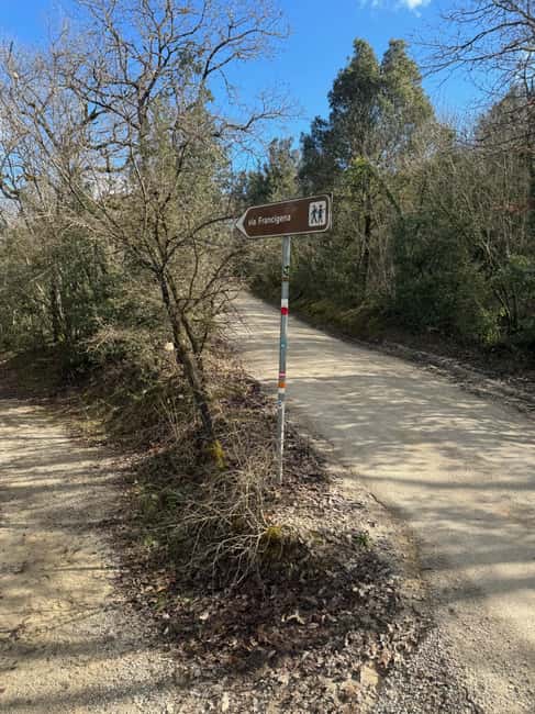 Siena: Horseback Tour on the Via Francigena - Discover the Siena Horseback Tour on the Via Francigena