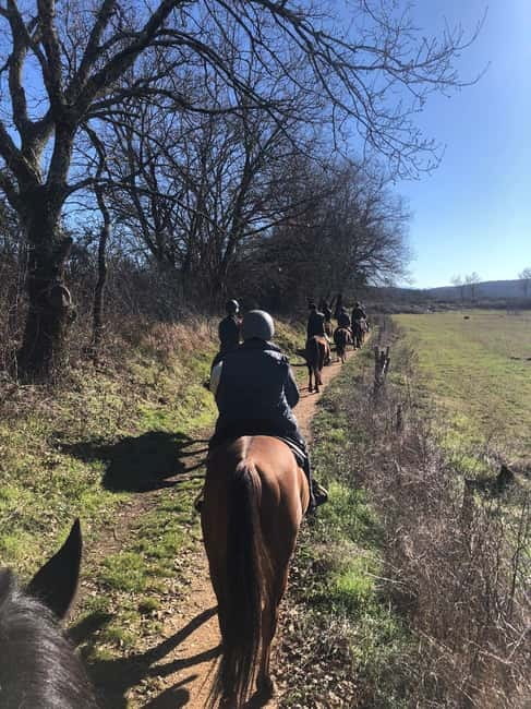 Siena: Horseback Tour on the Via Francigena - Key Points