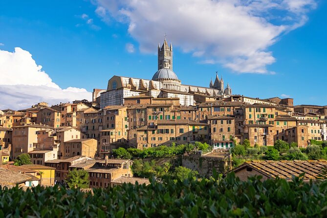 Siena Like a Local: Customized Private Tour - Meet Your Siena Guide: A Local Insider at Your Service