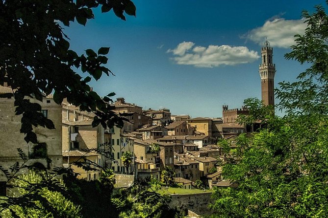 Siena Magica Private Walking Tour - Siena Cathedral: The City’s Artistic Jewel