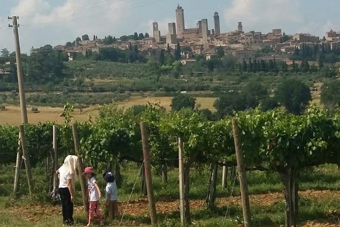 Siena Monteriggioni San Gimignano with Lunch&WineTasting Fullday from Florence - Return Journey to Florence in the Afternoon