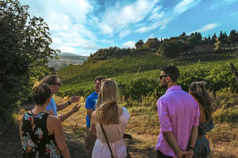 Siena: Organic Winery Tour and Wine Tasting - Starting Point and Practical Details in Siena