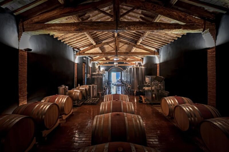 Siena: Organic Winery Tour and Wine Tasting - The Afternoon Meal: A Taste of Tuscany