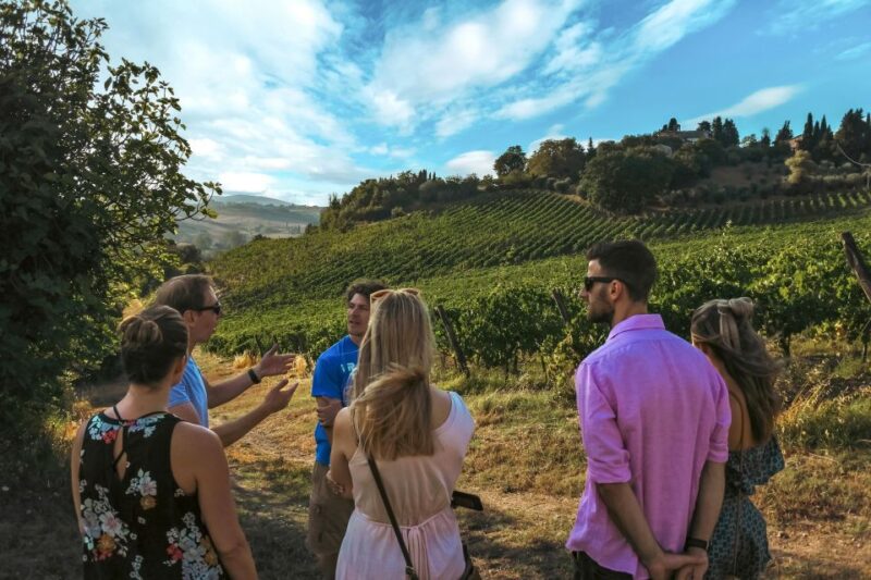 Siena: Organic Winery Tour and Wine Tasting - Who Will Enjoy This Tour Most?