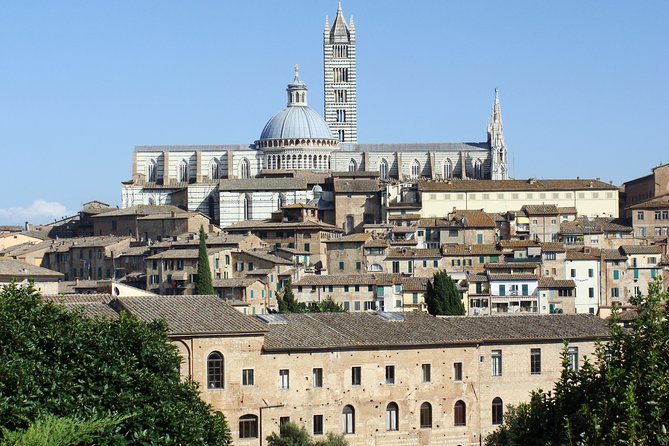 Siena private guided tour for families - Piazza del Campo: Siena’s Heart and the Palio