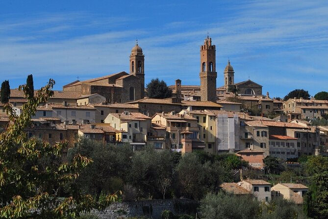 Siena Private Walking Tour With A Professional Guide - The Charm of Palazzo Salimbeni and the Medici Fortress