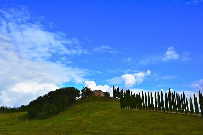Siena - San Gimignano Private Tour - Discovering San Gimignanos Medieval Charm