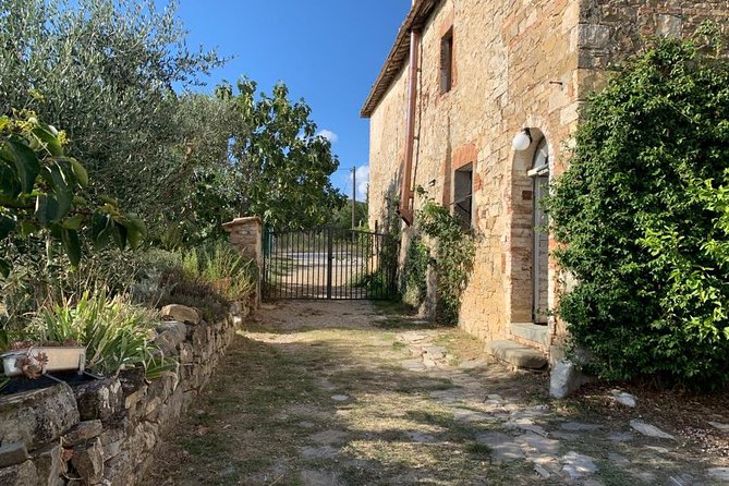 Siena: Small group Cooking Class in Chianti Farmhouse - Recipe Takeaways and Learning