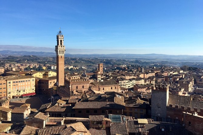 Siena Tour and exclusive window on Piazza del Campo - Practical Details and Amenities