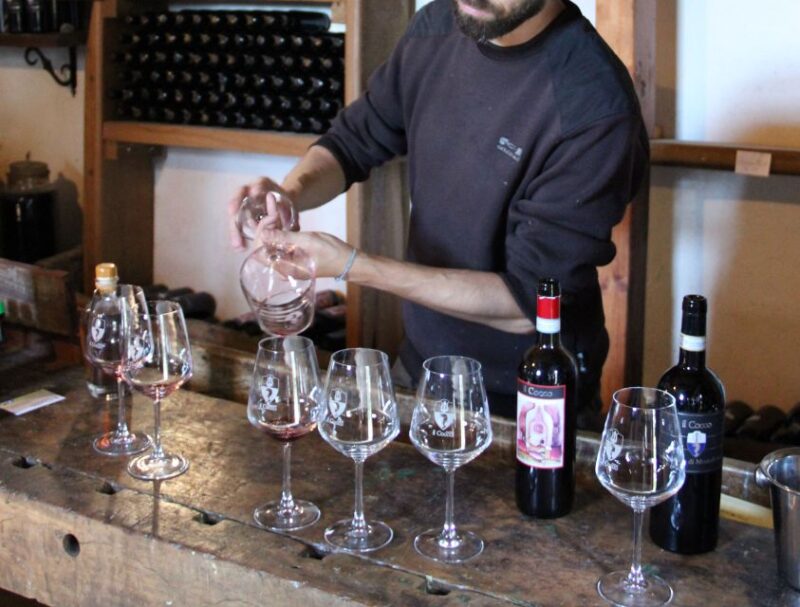 Siena: Tuscan Classics Wine Tasting Class with Aperitivo - Learning the Art of Wine Tasting with an Expert
