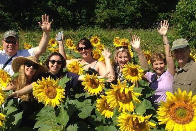 Siena & Tuscany - Experience the Best of Siena & Tuscany on a Full-Day Tour from Florence