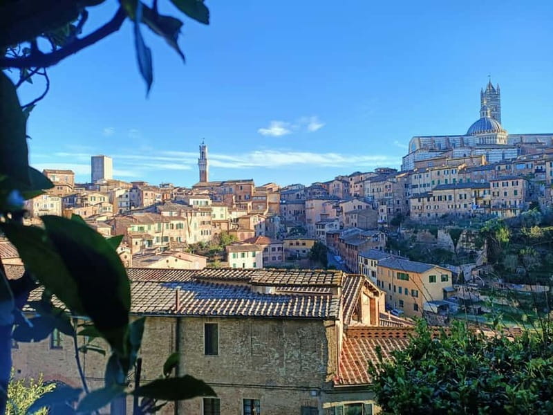 Siena walking tour with lunch & Chianti wine - Overall Value and What Sets It Apart