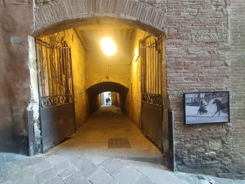 Siena Wine & Gelato tasting - Logistics and Practical Tips for the Tour