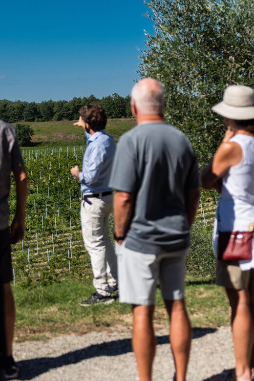 Siena: Winery tour/tasting with owner/maker of awarded wines - How Lorenzo Makes the Tour Personal and Engaging