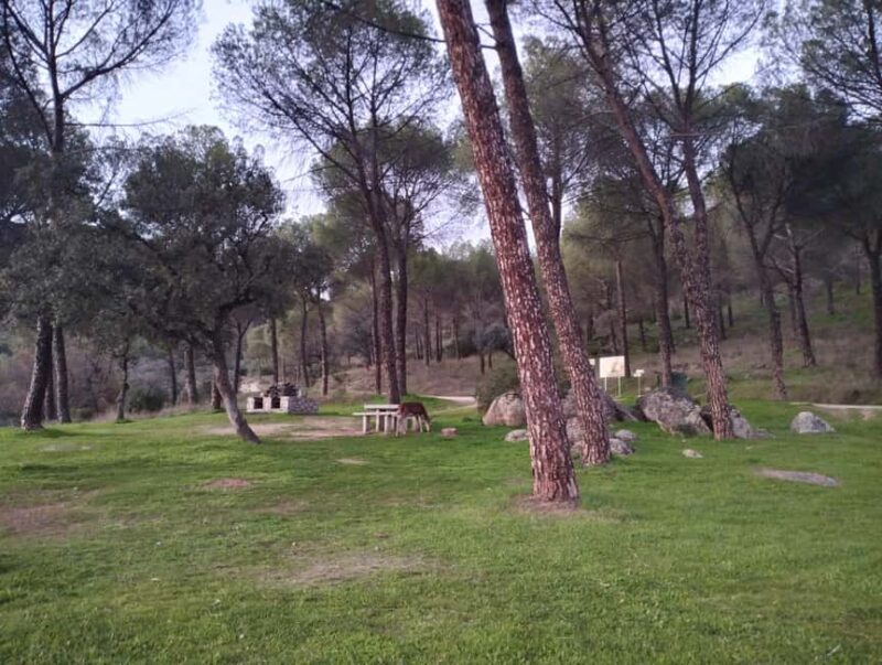 Sierra de Andújar: Hiking Trail along the Jándula River - Comparing Similar Experiences Near Andújar