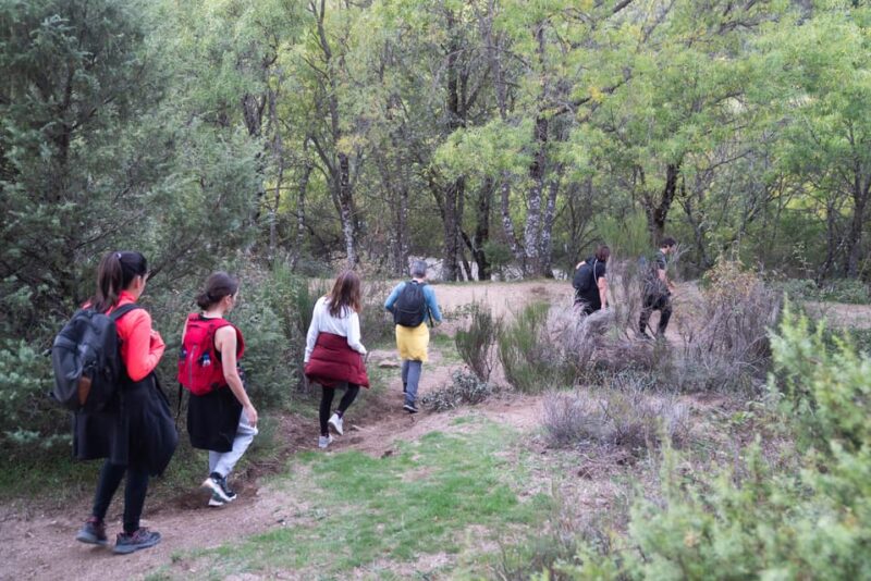 Sierra de Guadarrama: Magical Night Hike - Observing Celestial Bodies Through a Professional Telescope