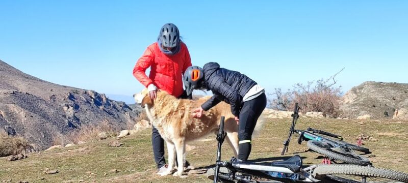 Sierra Nevada Small Group E-Bike Tour - Safety and Accessibility