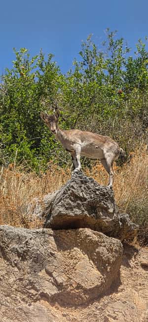 Sierra Nevada: Waterfalls , Caves & Bridges Hike with Picnic - Exploring the Tunel de las Palomas River Tunnel Cave