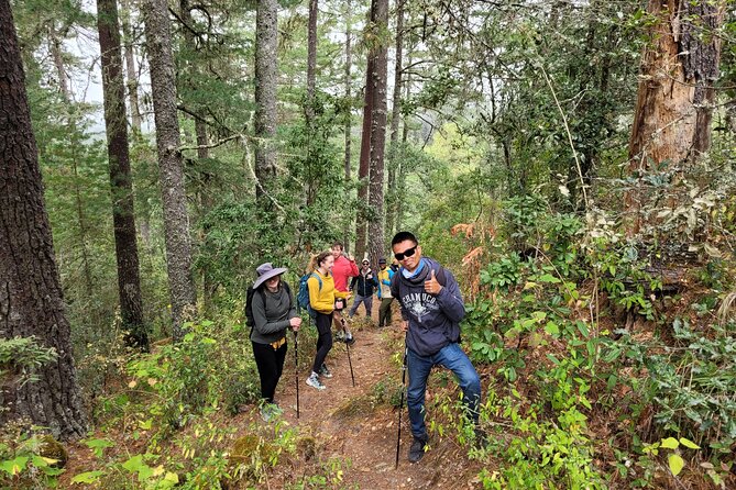 Sierra Norte Hike and Indigenous Village Full-Day Adventure - Return Drive and End of the Mountain Adventure