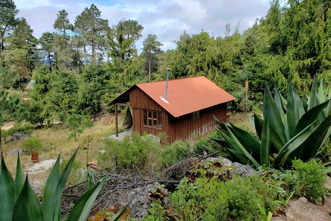 Sierra Norte Hike and Indigenous Village Full-Day Adventure - Practical Details and Logistics