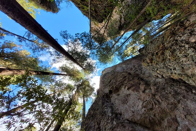 Sierra Norte Hike and Indigenous Village Full-Day Adventure - The Value of a Guided Full-Day Mountain Experience