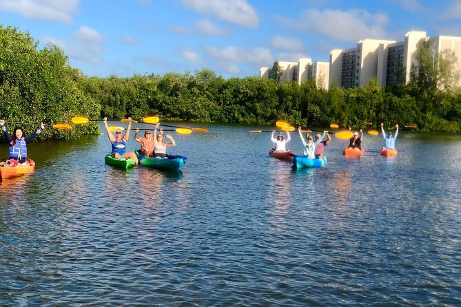 Siesta Key Guided Eco Tour - Explore Siesta Key’s Mangrove Ecosystems and Wildlife by Kayak