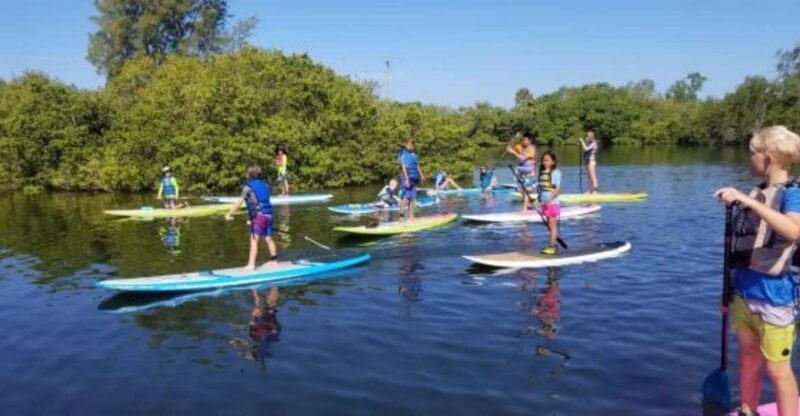 Siesta Key: Mangrove Kayak or Paddleboard Tour - Wildlife Sightings: Manatees and Dolphins in Their Natural Habitat