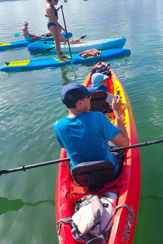 Siesta Key: Mangrove Kayak or Paddleboard Tour - Booking and Cancellation Policies