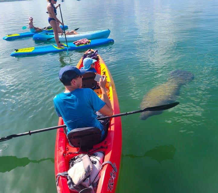 Siesta Key: Mangrove Kayak or Paddleboard Tour - Frequently Asked Questions