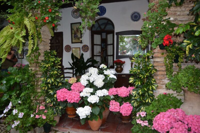 Sights, Sounds, and Scents of Córdoba's Patios - Discover Córdoba’s Beautiful Patios with a Guided Walk