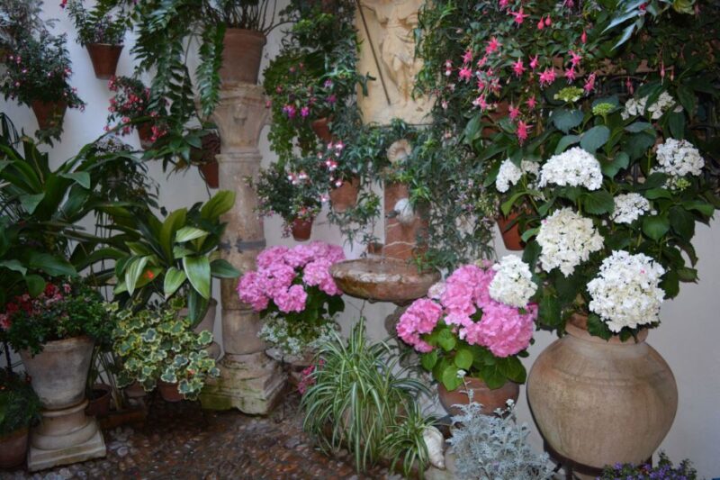 Sights, Sounds, and Scents of Córdoba's Patios - Why May Is the Best Time to Tour Córdobas Patios