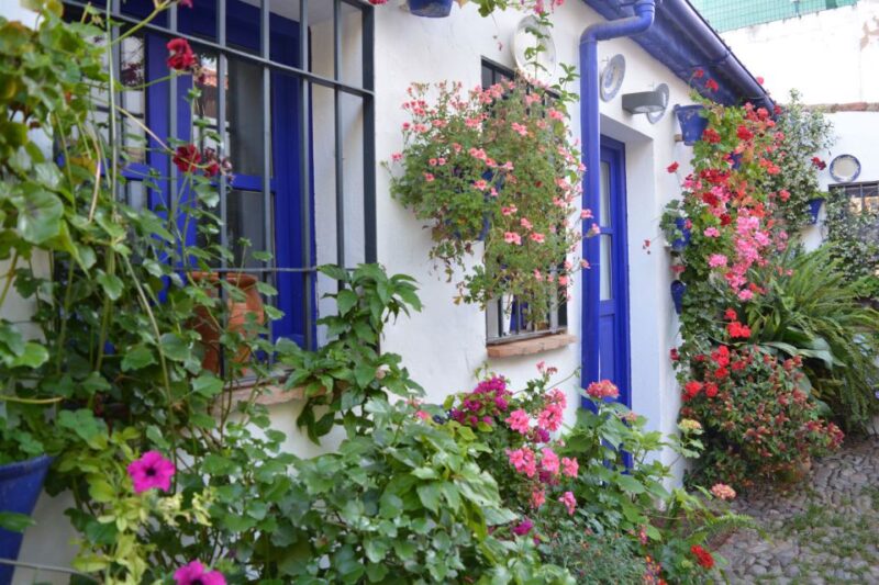 Sights, Sounds, and Scents of Córdoba's Patios - The Guide’s Expertise and Personal Touch