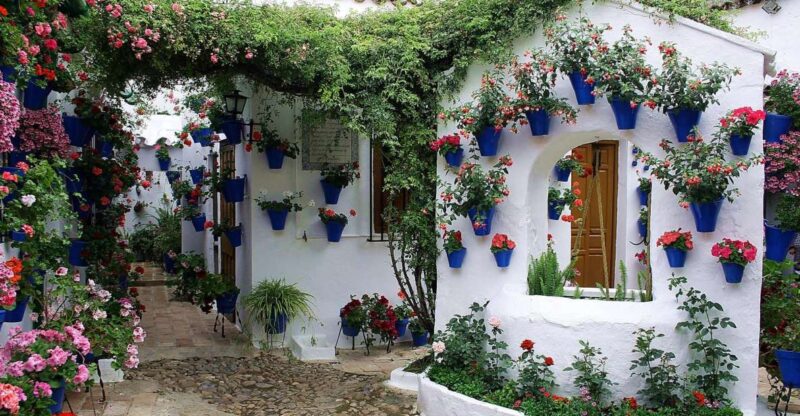 Sights, Sounds, and Scents of Córdoba's Patios - Comparing This Tour to Similar Córdoba Experiences