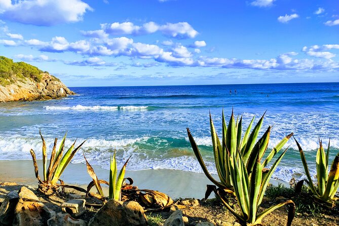 Sightseeing day tour along the East and North Coasts of Ibiza! - Entering the Largest Cave: Can Marça