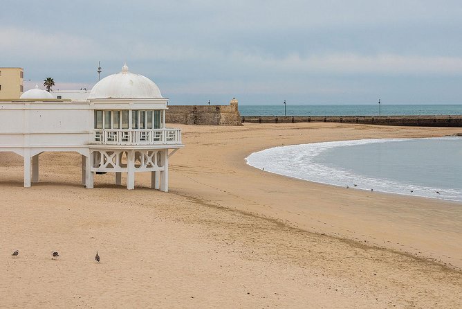 Sightseeing Day-Trip to Cadiz and Jerez from Seville - Flexibility and Optional Activities