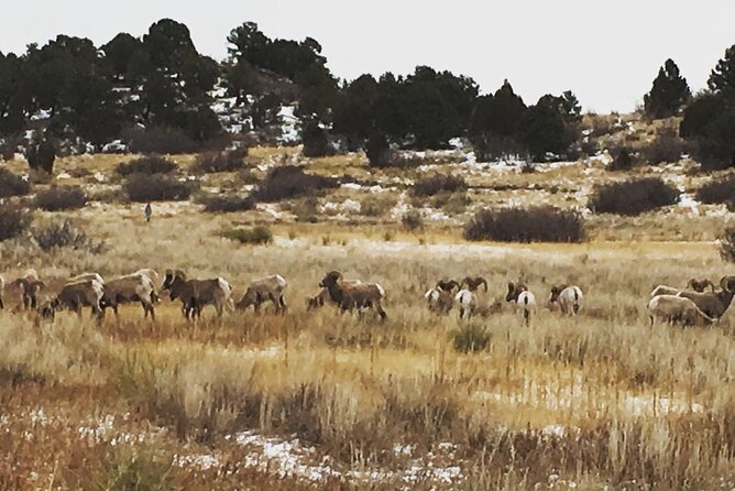 Sightseeing Jeep Tour in Garden of the Gods - Spotting Rainbow Falls and Exploring Manitou Springs