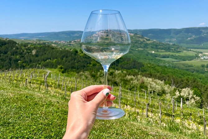 Sightseeing of Krk town - Practical Logistics and Tour Features