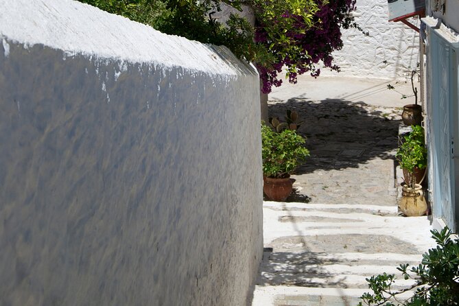 Sightseeing Private Tour in Athens Acropolis (Elysium Travel) - Key Points