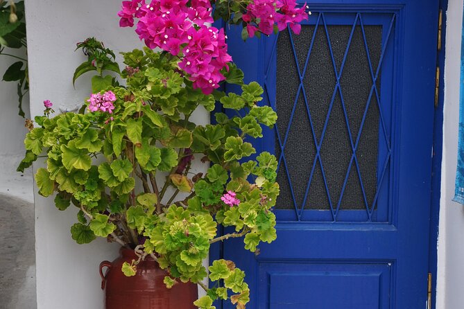 Sightseeing Private Tour in Athens Acropolis (Elysium Travel) - Witness the Ceremonial Change of Guards at Syntagma Square