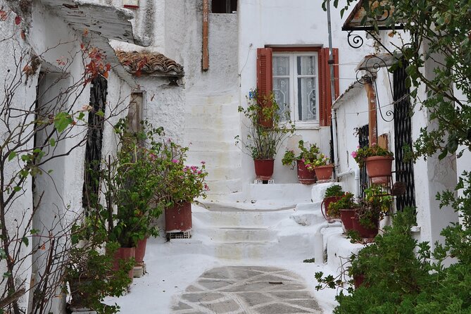 Sightseeing Private Tour in Athens Acropolis (Elysium Travel) - The Academic Hub: Greece’s National Research Center