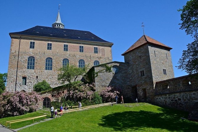 Sightseeing Private Tour of Oslo and Viking Ship Museum - Explore Oslos Highlights and Viking Heritage in a Private Tour