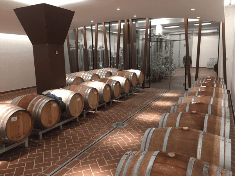 SIGHTSEEING TASTING IN THE PANORAMIC LOUNGE - Pairing Regional Snacks and Olive Oil Tasting