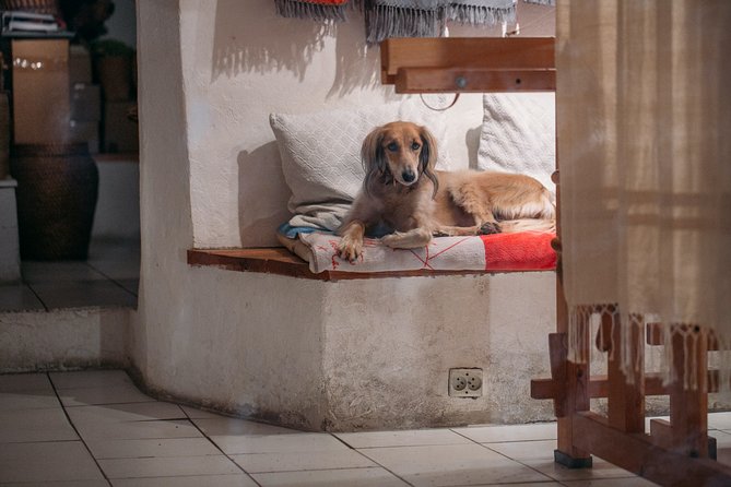 Sightseeing tour from Nice to Saint-Paul-de-Vence and Provence - A Highly Praised Guide and Reliable Experience