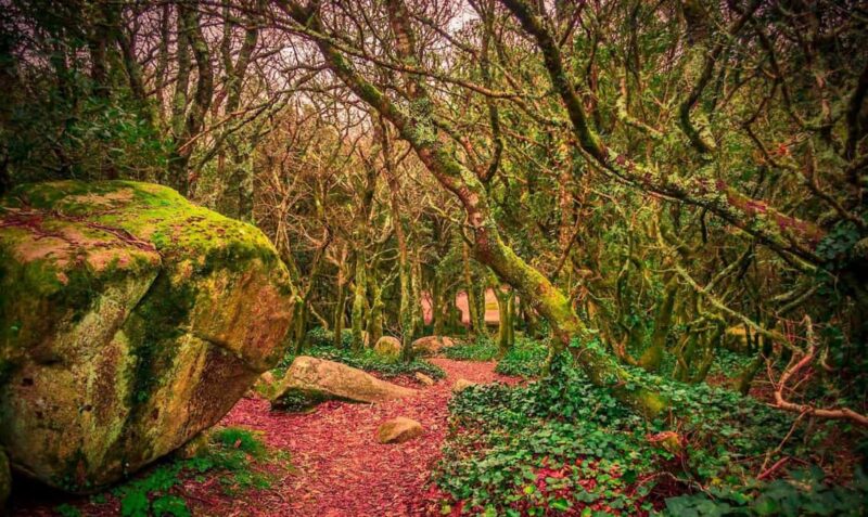 Sightseeing Tour Sintra and Cascais with Cabo da Roca - Key Points