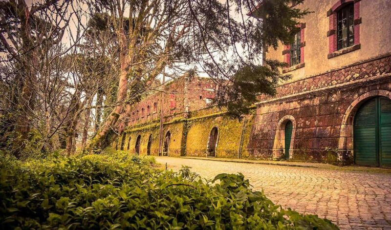 Sightseeing Tour Sintra and Cascais with Cabo da Roca - Comparing Similar Tours and Options