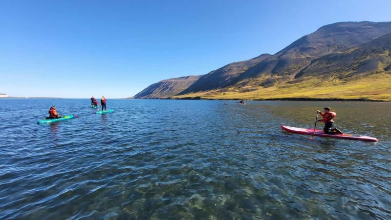 Siglufjörður: Private Guided SUP Tour - Key Points
