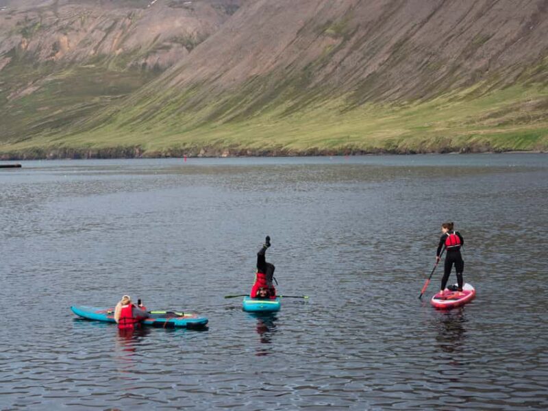 Siglufjörður: Private Guided SUP Tour - Why Choose the Siglufjörður SUP Tour