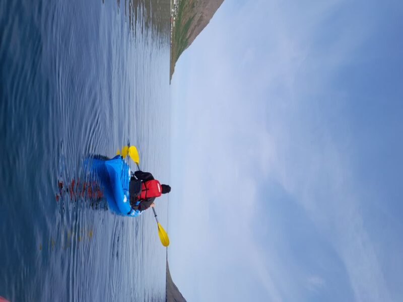 Siglufjörður / Siglufjordur: Guided kayak tour. - Guided Kayaking in Siglufjörður: An Icelandic Marine Adventure