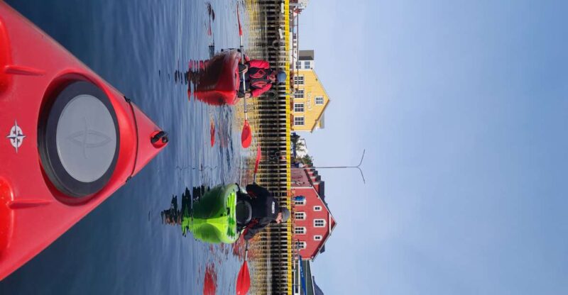 Siglufjörður / Siglufjordur: Guided kayak tour. - Discovering Local Landmarks and Natural Features